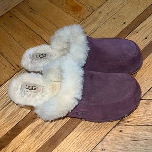 Dark Purple Ugg Clog Slippers